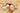 Photo Boules de Noël colorées comme une boîte (18) Boules de Noël colorées comme une boîte (18)