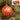 Photo Boules de Noël colorées comme une boîte (18) Boules de Noël colorées comme une boîte (18)