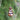 Photo Original Christmas tree decorations - bells - wooden fir trees Original Christmas tree decorations - bells - wooden fir trees