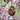 Photo Pendentif en bois œuf de Pâques violet pour le buisson de Pâques peint avec art Pendentif en bois œuf de Pâques violet pour le buisson de Pâques peint avec art