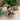Photo Wooden Christmas bell with berry pattern Wooden Christmas bell with berry pattern
