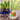 Photo Hand-painted Easter egg in ostrich egg size Hand-painted Easter egg in ostrich egg size