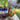 Photo Large Hand-painted Wooden Easter Egg with Bird Large Hand-painted Wooden Easter Egg with Bird