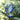 Photo Hummingbird Christmas Ornament Hummingbird Christmas Ornament
