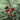 Photo Hand-Painted Cardinal Christmas Ornament – Wooden Ukrainian Folk Art Hand-Painted Cardinal Christmas Ornament – Wooden Ukrainian Folk Art
