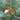 Photo Pendentif de Noël Paon – Bois Peint à la Main, Artisanat Ukrainien Pendentif de Noël Paon – Bois Peint à la Main, Artisanat Ukrainien
