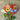 Photo Original christmas decoration in the shape of heart Original christmas decoration in the shape of heart