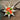 Photo Christmas stars ornament wooden, Petrykivka painting Christmas stars ornament wooden, Petrykivka painting