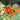 Photo Décorations pour sapin de Noël en forme de poisson en bois, délicatement peintes des deux côtés Décorations pour sapin de Noël en forme de poisson en bois, délicatement peintes des deux côtés