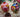 Photo Boules de Noël en bois colorées à ouvrir, 2 pièces, 7 cm Boules de Noël en bois colorées à ouvrir, 2 pièces, 7 cm