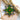 Photo Hand painted Christmas star ornament, Petrykivka painting Hand painted Christmas star ornament, Petrykivka painting
