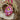Photo Ukrainian Easter egg with fantasy bird motive - traditional Pysanka Ukrainian Easter egg with fantasy bird motive - traditional Pysanka