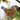 Photo Ukrainian Bird hand painted decoration of wood Ukrainian Bird hand painted decoration of wood