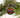 Photo Colorful Christmas decor -bell tree shaped Colorful Christmas decor -bell tree shaped