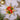 Photo Wooden hand painted Star Christmas ornamen Wooden hand painted Star Christmas ornamen