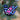 Photo Traditional Christmas decoration bird in purple Traditional Christmas decoration bird in purple