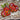 Photo Valentine's Day gift - Heart ornamnets and lucky charm Valentine's Day gift - Heart ornamnets and lucky charm