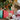 Photo Christmas bell made of wood, red and gold Christmas bell made of wood, red and gold