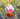Photo Easter egg tree decoration - ukrainian eggs - pysanky Easter egg tree decoration - ukrainian eggs - pysanky