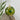 Photo Handbemalte Christbaumkugeln aus Holz 8 cm im Folklore-Stil Handbemalte Christbaumkugeln aus Holz 8 cm im Folklore-Stil