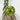 Photo Handbemalte Christbaumkugeln aus Holz 8 cm im Folklore-Stil Handbemalte Christbaumkugeln aus Holz 8 cm im Folklore-Stil