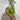 Photo Handbemalte Christbaumkugeln aus Holz 8 cm im Folklore-Stil Handbemalte Christbaumkugeln aus Holz 8 cm im Folklore-Stil