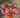 Photo Animal tree decorations -squirrel and bunny, delicate painted Animal tree decorations -squirrel and bunny, delicate painted