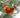 Photo Rustic Christmas tree pendant bird traditionall painted Rustic Christmas tree pendant bird traditionall painted