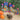 Photo Animal Christmas decorations Cat and Dog 2 pcs - Set Animal Christmas decorations Cat and Dog 2 pcs - Set