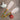 Photo Kitchen wooden accessories - spatula and wooden spoon - hand painting Kitchen wooden accessories - spatula and wooden spoon - hand painting