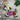 Photo Adorable petit chien - aimant de réfrigérateur pour collectionneurs de chiens Adorable petit chien - aimant de réfrigérateur pour collectionneurs de chiens