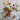 Photo Adorable petit chien - aimant de réfrigérateur pour collectionneurs de chiens Adorable petit chien - aimant de réfrigérateur pour collectionneurs de chiens