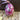 Photo Traditional painted ukrainian Pysanka, wooden Easter eggs Traditional painted ukrainian Pysanka, wooden Easter eggs