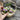Photo Traditional Ukrainian Easter eggs hand-painted, made of wooden 3 pieces in a basket Traditional Ukrainian Easter eggs hand-painted, made of wooden 3 pieces in a basket