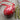 Photo Ukrainian Easter egg with painted butterfly, wood Ukrainian Easter egg with painted butterfly, wood