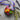 Photo Ukrainische Ostereier - Schönes Osterei Schmetterling, schwarz - Pysanka Ukrainische Ostereier - Schönes Osterei Schmetterling, schwarz - Pysanka