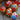 Photo Ukrainian traditional Easter wooden eggs to hang, painted with bird motive Ukrainian traditional Easter wooden eggs to hang, painted with bird motive