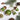 Photo Baumschmuck Mini Set – 4 Hochwertige Kleine Holzfiguren Baumschmuck Mini Set – 4 Hochwertige Kleine Holzfiguren