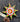 Photo Christmas tree decoration wooden star hand-painted according to Ukrainian tradition Christmas tree decoration wooden star hand-painted according to Ukrainian tradition