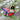 Photo Bird Christmas decoration colorful hand painted Bird Christmas decoration colorful hand painted