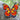 Photo Décoration de sapin de Noël exclusive papillon avec motif en filigrane Décoration de sapin de Noël exclusive papillon avec motif en filigrane