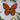 Photo Décoration de sapin de Noël exclusive papillon avec motif en filigrane Décoration de sapin de Noël exclusive papillon avec motif en filigrane