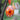 Photo Orange Easter egg - painted ukrainian pysanky Orange Easter egg - painted ukrainian pysanky