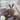 Photo Funny Easter rabbits with 3 small Easter eggs in the basket Funny Easter rabbits with 3 small Easter eggs in the basket