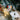 Photo Exklusive Christbaumkugeln bunt bemalt mit Blumenmuster, aus Holz zum öffnen, 8 cm Exklusive Christbaumkugeln bunt bemalt mit Blumenmuster, aus Holz zum öffnen, 8 cm