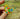Photo Broche - oiseau en bois peint à la main Broche - oiseau en bois peint à la main