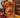 Photo Küche Wanddekoration aus Holz, kleine Vase mit orangen Blumen Küche Wanddekoration aus Holz, kleine Vase mit orangen Blumen
