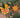Photo Colorful Christmas wooden decorations set -squirrel and star Colorful Christmas wooden decorations set -squirrel and star