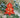 Photo Red star Christmas tree ornament hand painted Red star Christmas tree ornament hand painted