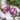Photo Exclusive Christmas Ornaments Teapot and Cup Exclusive Christmas Ornaments Teapot and Cup